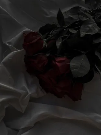 OnlyFans account  cinnamonxgirl header 2