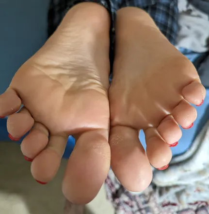 OnlyFans cuenta toetalauthority avatar 1