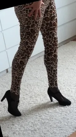 OnlyFans account  nylons4ever header 2