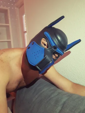 OnlyFans cuenta pup_waldo header 2