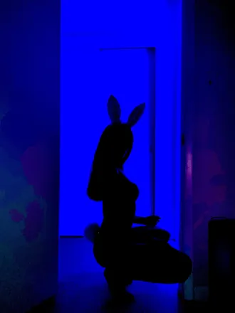 OnlyFans cuenta insidesophie header 2