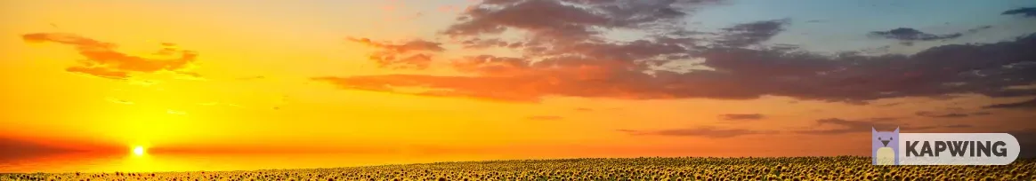 OnlyFans cuenta livflowers1456 header 2
