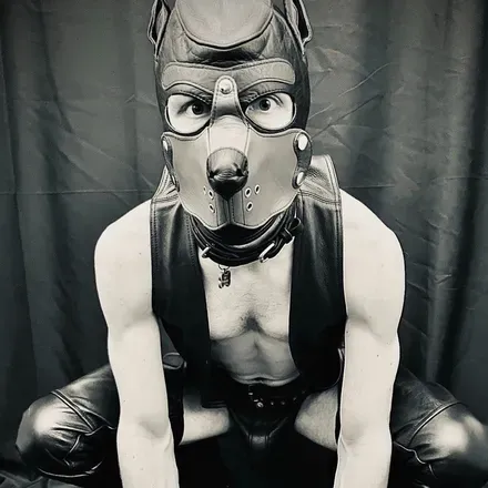 OnlyFans cuenta rocketsmutts avatar 1