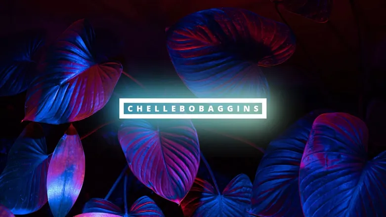 OnlyFans cuenta chellebobaggins header 2