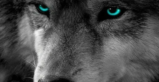 OnlyFans cuenta tassyo header 2