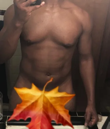 OnlyFans account  primalpleasure header 2