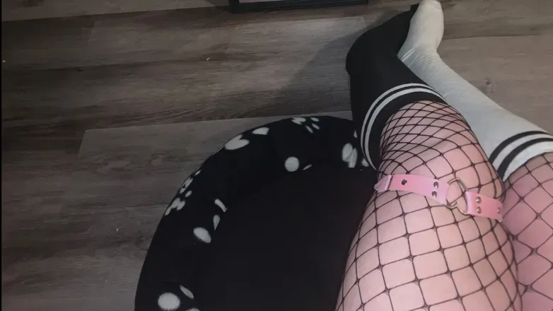 OnlyFans cuenta bellaleelynn header 2
