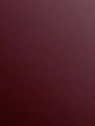 OnlyFans cuenta fap2mywap header 2