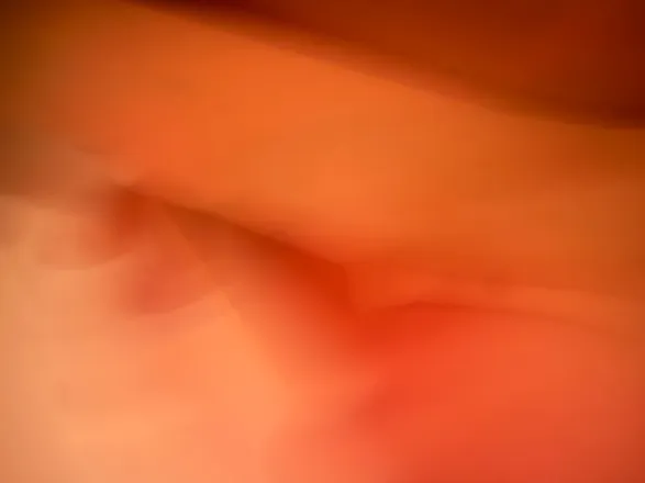 OnlyFans cuenta sophiaroman header 2