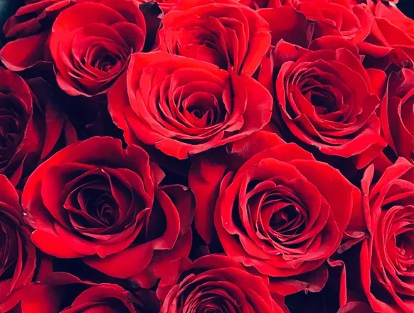 OnlyFans cuenta itsstacyrebaby header 1