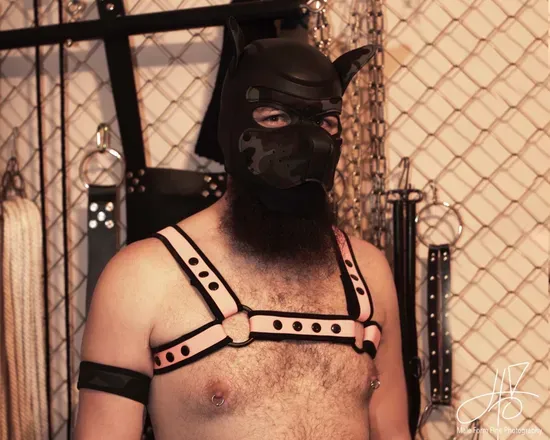 OnlyFans cuenta furrypiercedcub avatar 1
