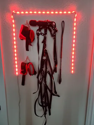 OnlyFans cuenta bdsm_erotic_voice_joi header 2