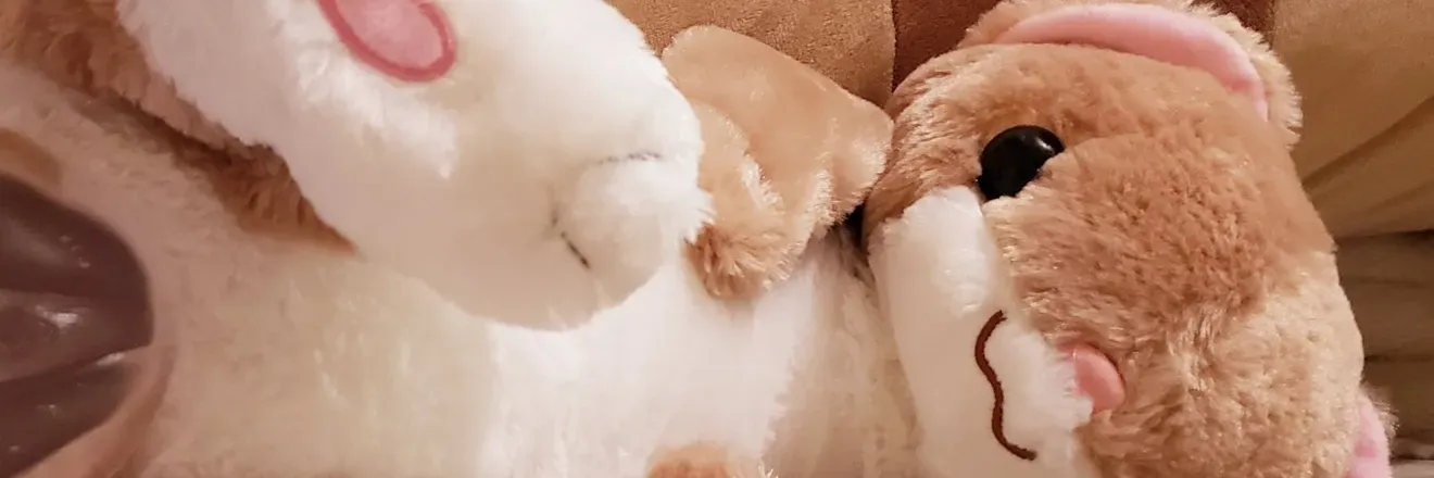 OnlyFans cuenta plush_shibe header 2
