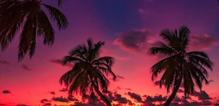 OnlyFans cuenta j_russ2019 header 2