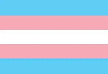 OnlyFans cuenta transgirlusn header 2