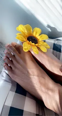 OnlyFans cuenta feetglowhoney avatar 1