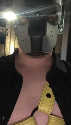 OnlyFans cuenta sparkypuppy header 2