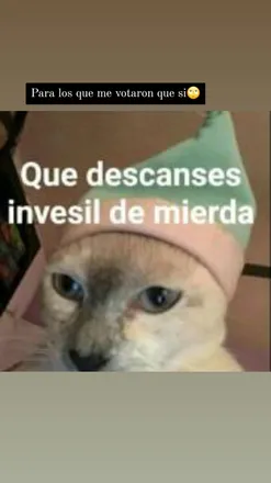 OnlyFans cuenta emeese7 header 2