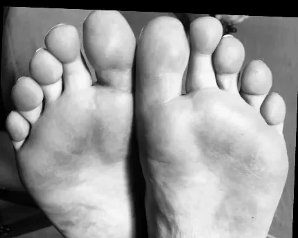 OnlyFans cuenta u46221881 header 2