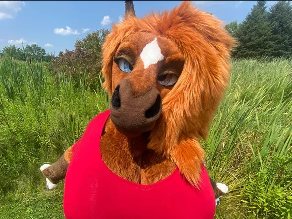 OnlyFans account  rain_horsie avatar 1