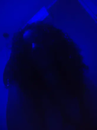 OnlyFans cuenta geradordemimimi avatar 1