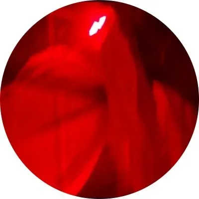 OnlyFans cuenta throatpara avatar 1