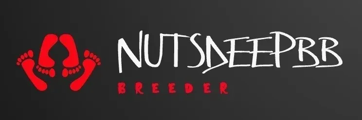 OnlyFans cuenta nutsdeepbb avatar 1