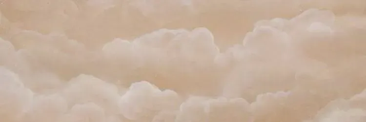 OnlyFans cuenta deathtaxesnass header 2