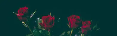 OnlyFans cuenta teeh14 header 2