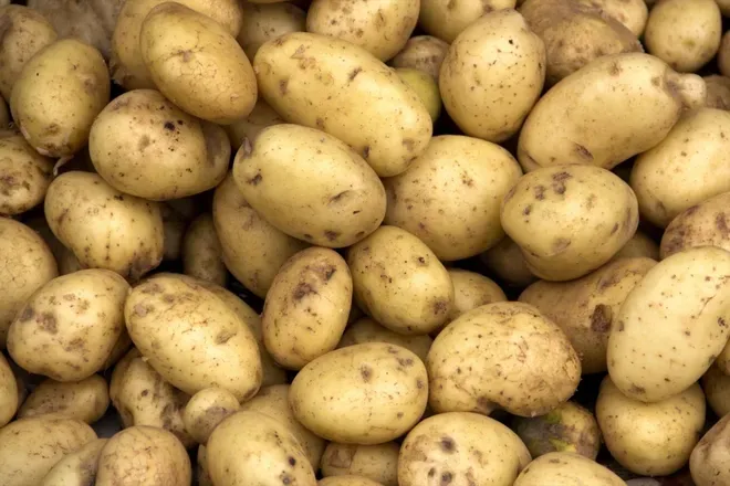 OnlyFans cuenta wholepotato header 2