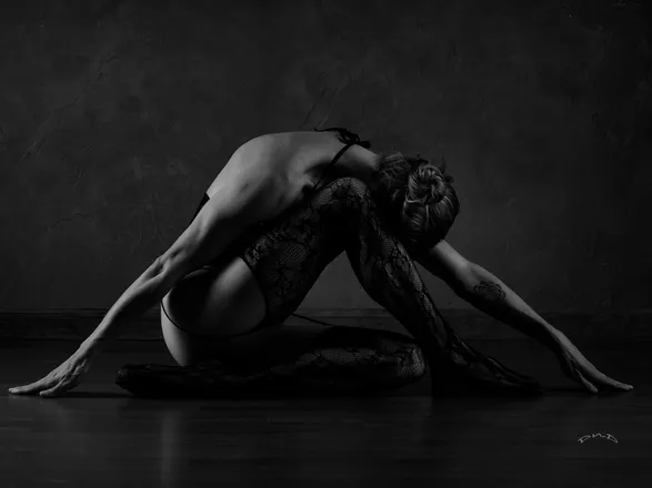 OnlyFans cuenta everydayimmusselin header 2