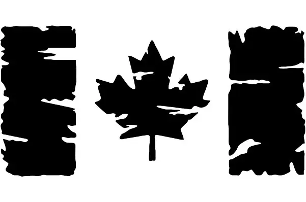 OnlyFans cuenta typical_canadian9 avatar 1