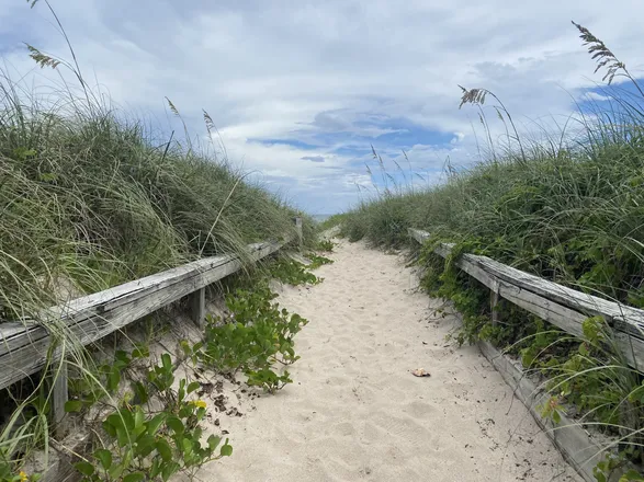 OnlyFans cuenta beachwanderer10 header 2