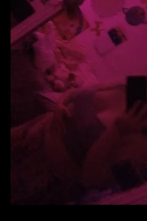 OnlyFans cuenta princesszo header 2