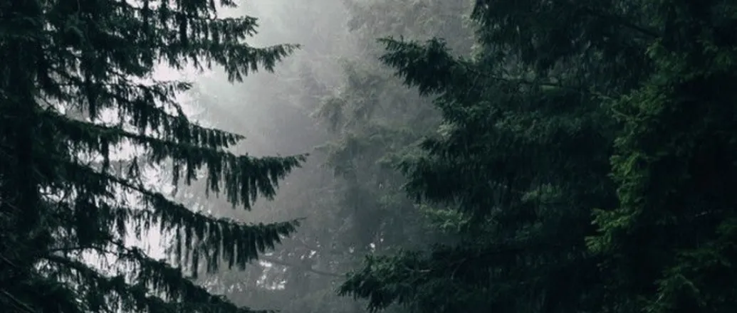 OnlyFans account  notreidpierce header 2