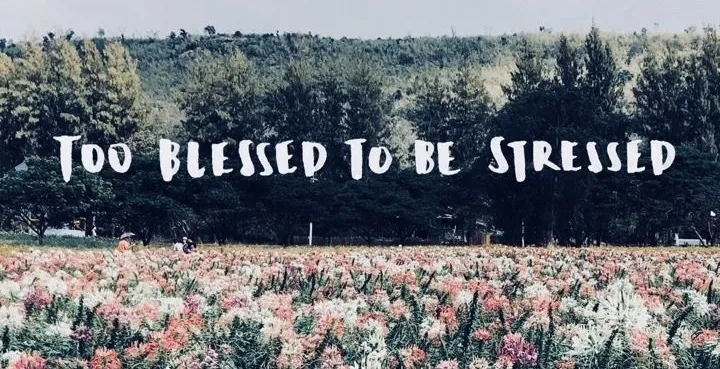 OnlyFans cuenta miss_alysia header 2
