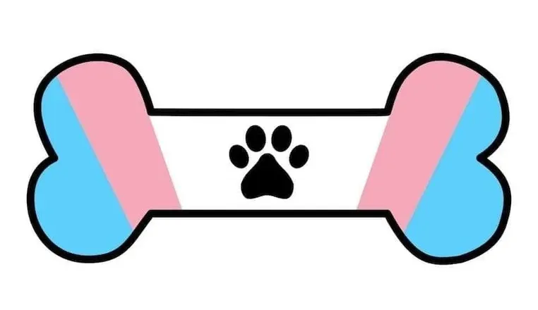 OnlyFans cuenta ftmpuppyboy header 2
