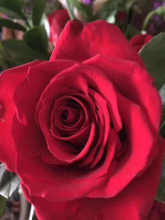 OnlyFans cuenta ashleyrose4036 header 2