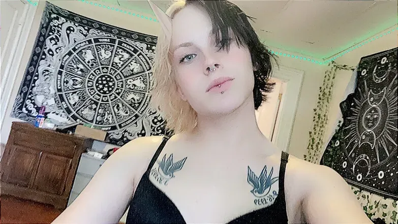 OnlyFans cuenta tgirlv avatar 1