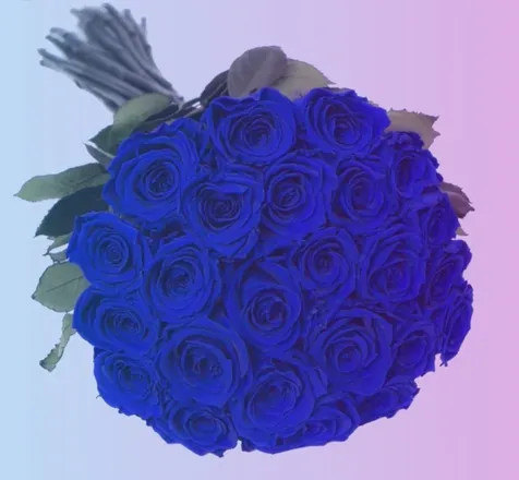 OnlyFans cuenta bluroses23 avatar 1