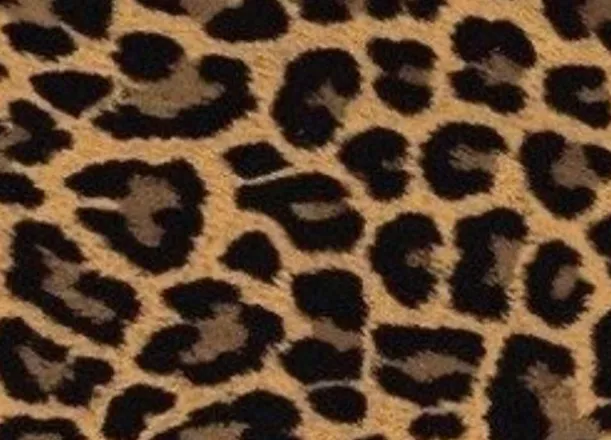 OnlyFans cuenta sinfullyyoursxoxo header 2