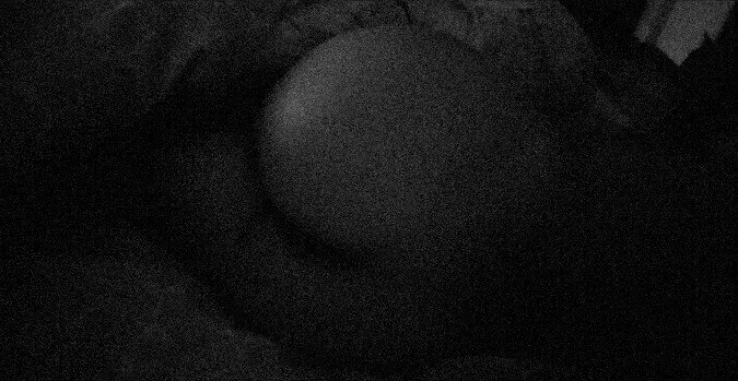 2026-03-28 photo 2