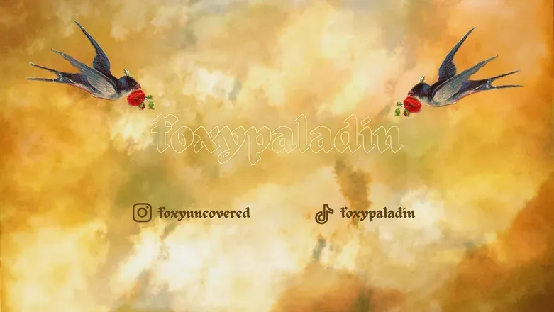 OnlyFans cuenta foxypaladin header 2