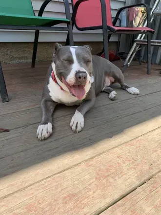 OnlyFans account  picturesofmypitties avatar 1