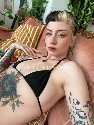OnlyFans cuenta venomousvelvet avatar 1