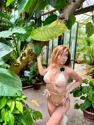 OnlyFans cuenta bellasplash avatar 1