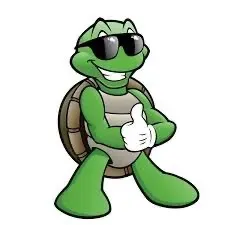 OnlyFans account  a2006turtle avatar 1