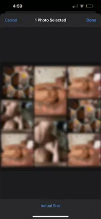 OnlyFans cuenta thelibrawomen header 2