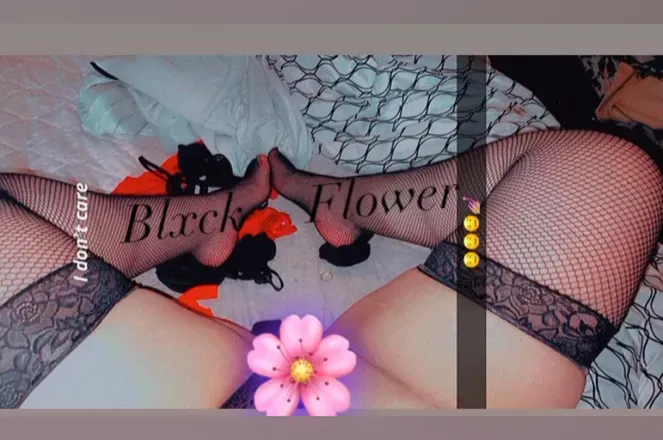 OnlyFans cuenta misspurple header 2