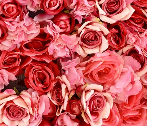 OnlyFans cuenta alexxxarose626 header 2
